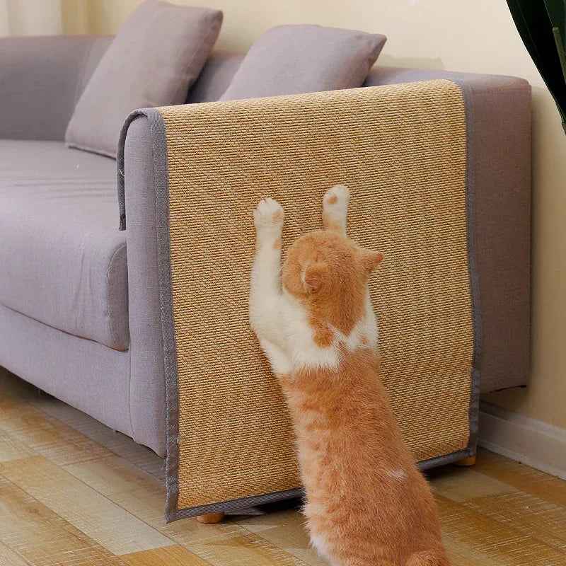 Best Cat Toys For Indoor Cats (2026 Buyer's Guide) - Purrfect Pet Stop 