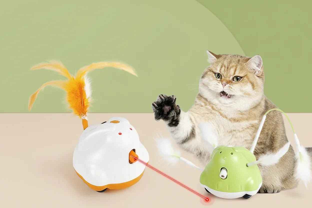 🐱 How to Keep an Indoor Cat Entertained While You’re at Work - Purrfect Pet Stop 