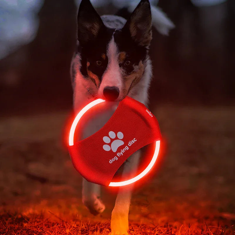 USB Rechargeable LED Pet Light Toy – Interactive Glow Toy for Cats & Dogs - Dog toy