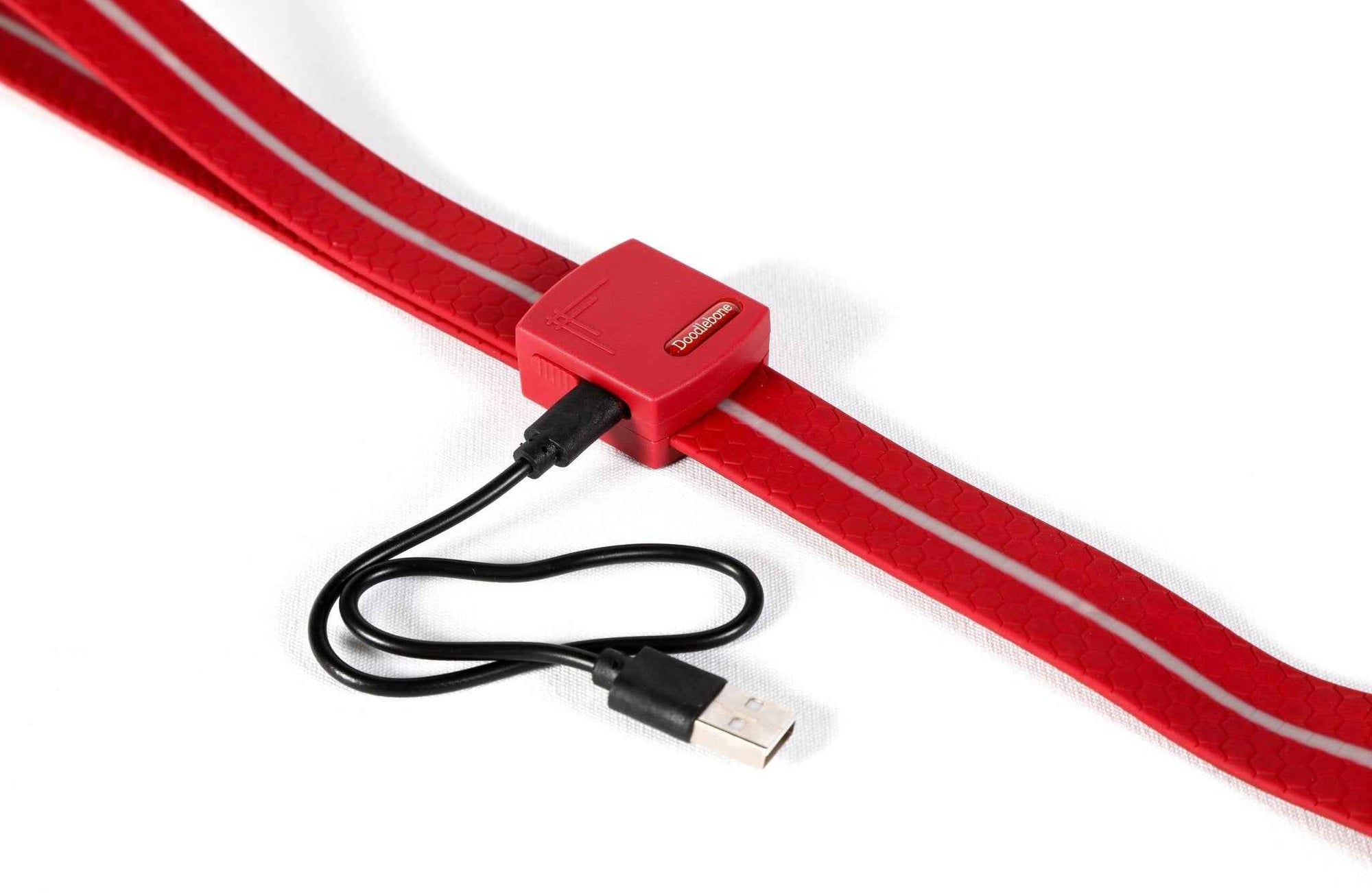 LED Dog Safety Lead — See Your Dog Instantly At Night