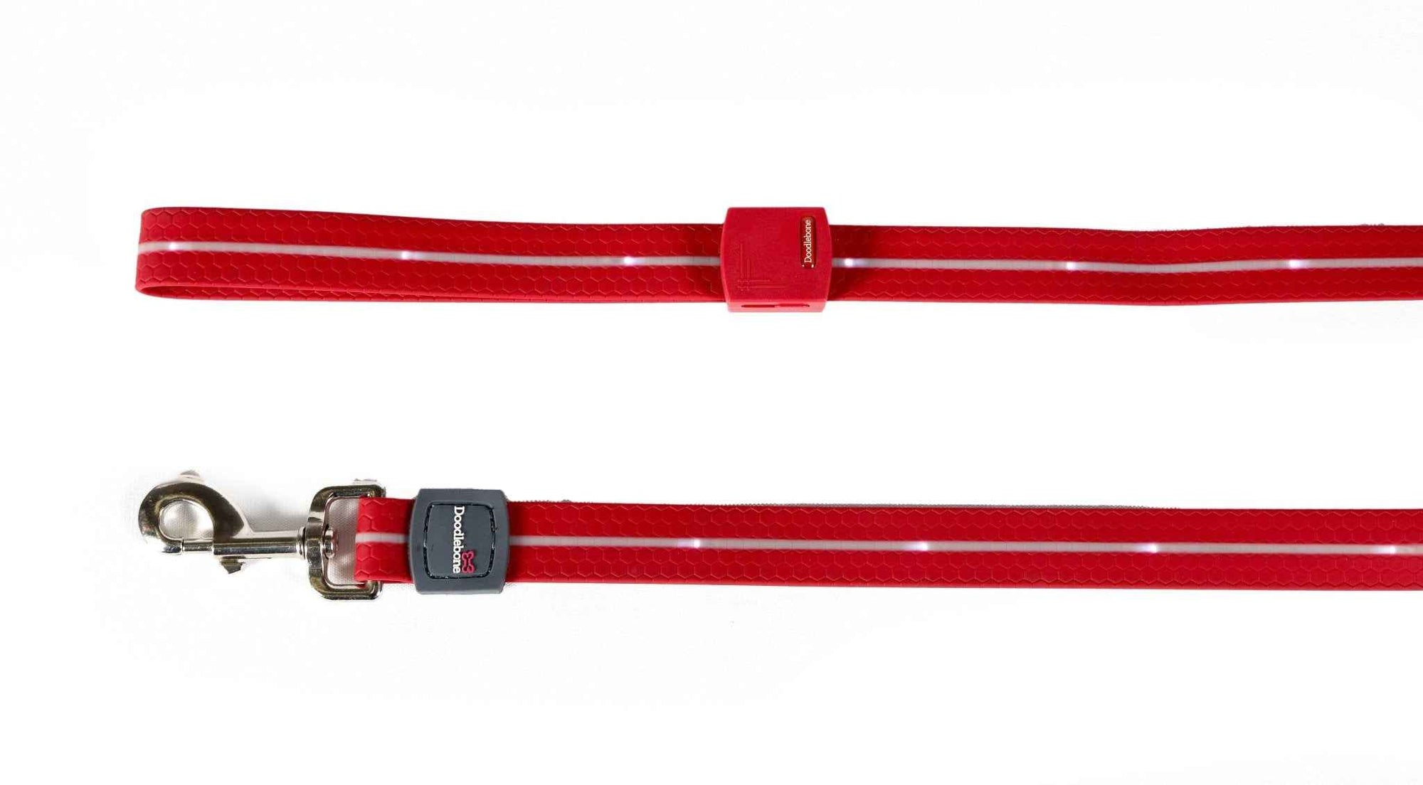 LED Dog Safety Lead — See Your Dog Instantly At Night