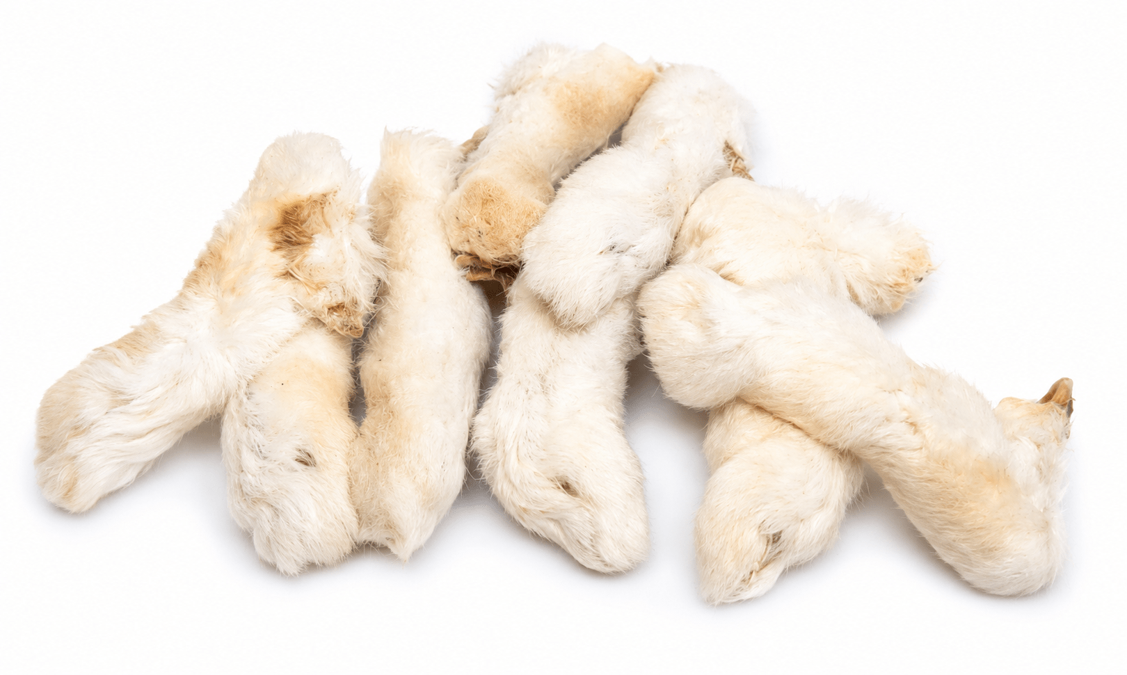 Rabbit Feet with Fur 100g | Natural Dog Treats - Purrfect Pet Stop