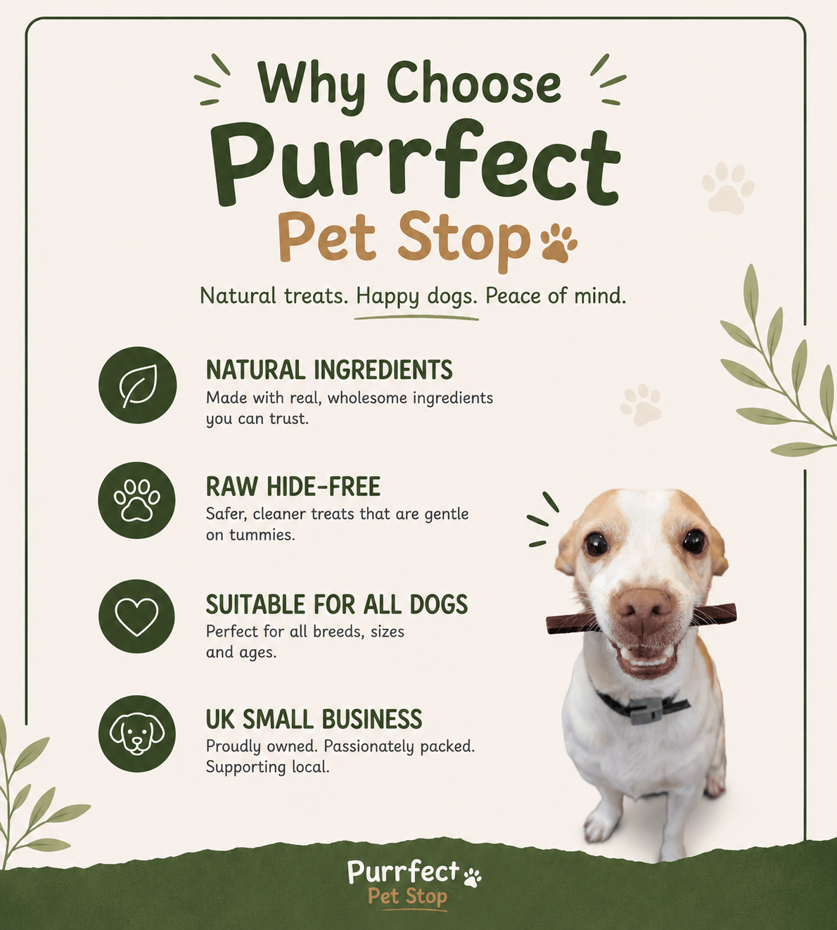 Rawhide - Free Treat Box 🐾 - Purrfect Pet Stop