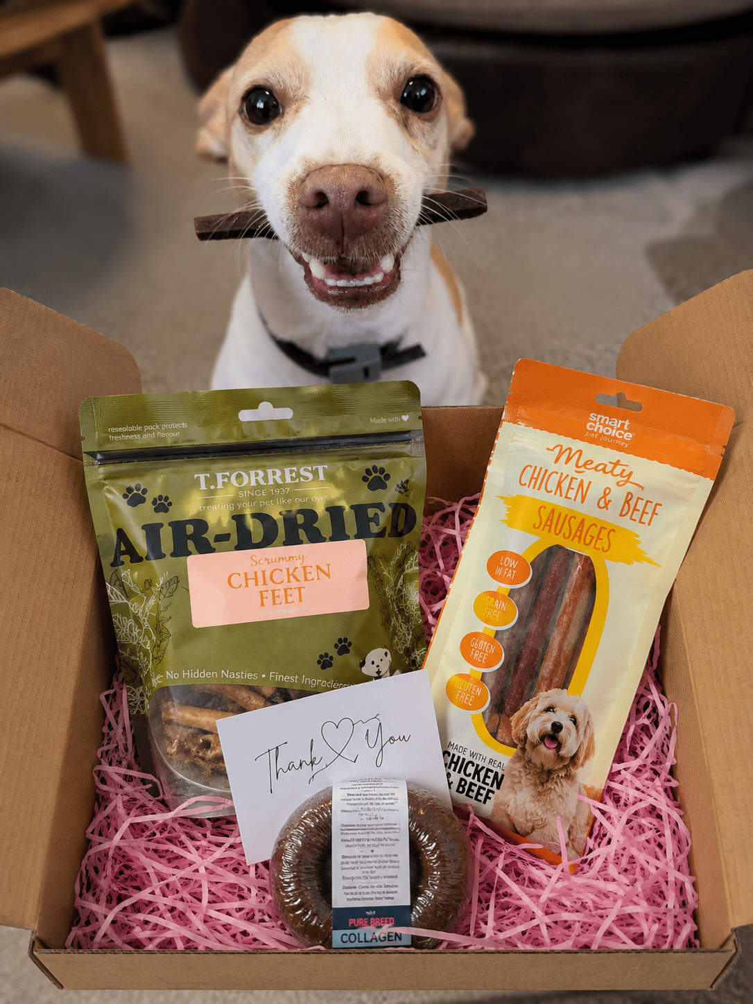 Rawhide - Free Treat Trial Box 🐶 - Purrfect Pet Stop